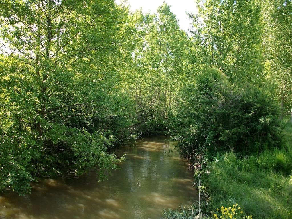 La Cle Des Chants Tauxigny Εξωτερικό φωτογραφία