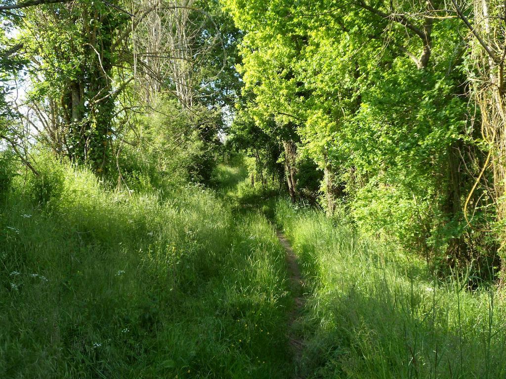 La Cle Des Chants Tauxigny Εξωτερικό φωτογραφία